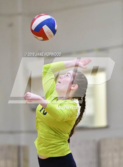 Thumbnail 3 in Leigh @ Leland photogallery.