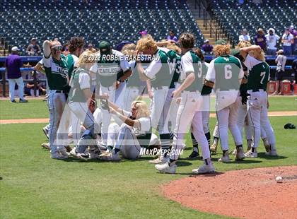 Thumbnail 3 in Valley Mills vs. Shiner (UIL 2A Baseball Final) photogallery.