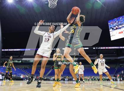 Thumbnail 3 in Pearland vs. DeSoto (UIL 6A Basketball State Semifinal) photogallery.