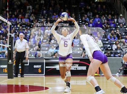 Thumbnail 1 in Beckville vs. Thrall (UIL Volleyball 2A Finals) photogallery.