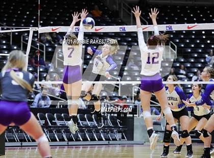 Thumbnail 3 in Beckville vs. Thrall (UIL Volleyball 2A Finals) photogallery.