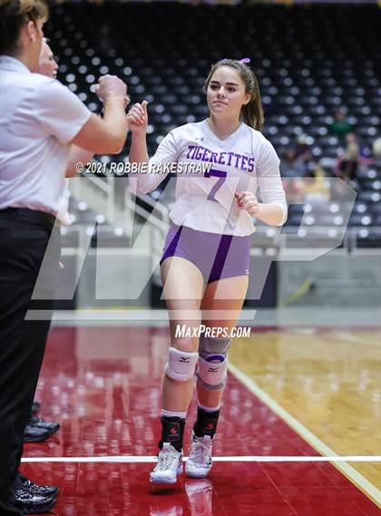 Thumbnail 1 in Beckville vs. Thrall (UIL Volleyball 2A Finals) photogallery.