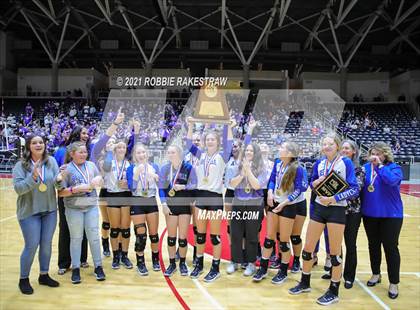 Thumbnail 1 in Beckville vs. Thrall (UIL Volleyball 2A Finals) photogallery.