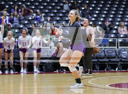Thumbnail 1 in Beckville vs. Thrall (UIL Volleyball 2A Finals) photogallery.