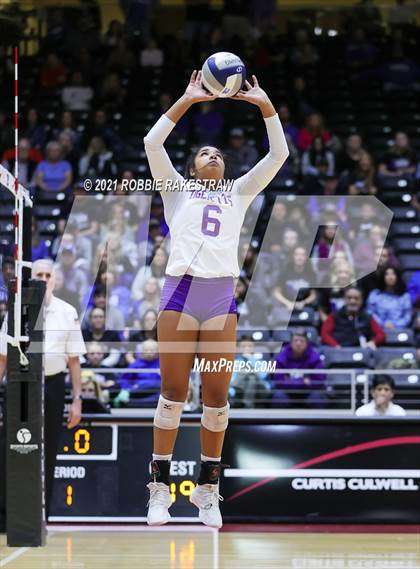 Thumbnail 1 in Beckville vs. Thrall (UIL Volleyball 2A Finals) photogallery.