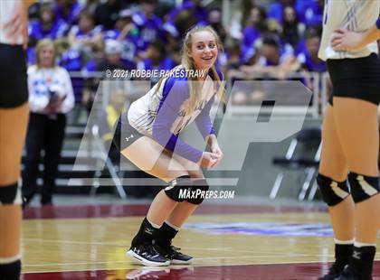 Thumbnail 1 in Beckville vs. Thrall (UIL Volleyball 2A Finals) photogallery.