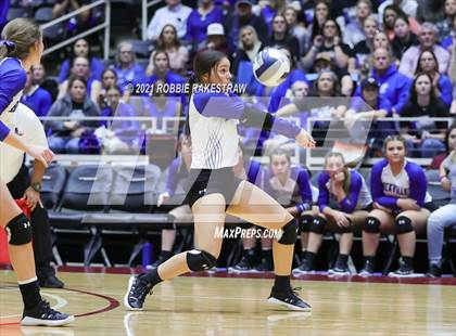 Thumbnail 1 in Beckville vs. Thrall (UIL Volleyball 2A Finals) photogallery.
