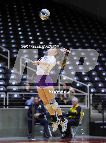 Thumbnail 2 in Beckville vs. Thrall (UIL Volleyball 2A Finals) photogallery.