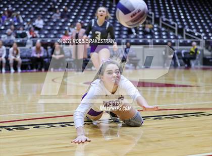Thumbnail 1 in Beckville vs. Thrall (UIL Volleyball 2A Finals) photogallery.