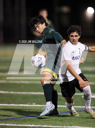 San Ramon Valley vs. Analy (CIF NCS D1 Semifinal)