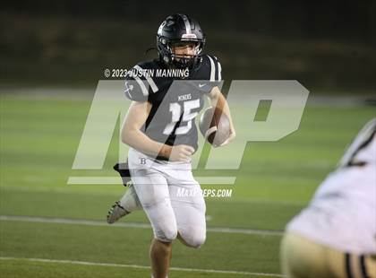Thumbnail 3 in Pottsville @ Bauxite photogallery.