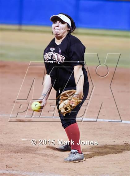 Thumbnail 3 in AIA D1 and D2 All-Star Game photogallery.