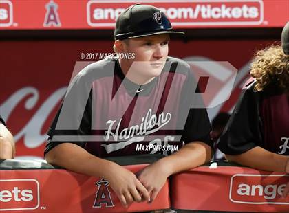 Thumbnail 3 in Pinnacle vs. Hamilton (AIA 6A Final) photogallery.