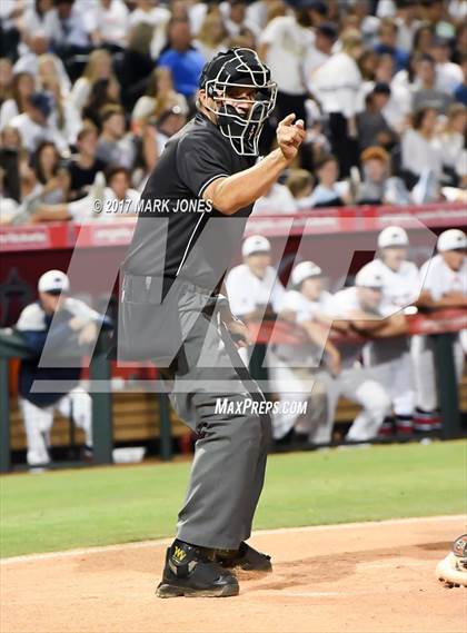 Thumbnail 3 in Pinnacle vs. Hamilton (AIA 6A Final) photogallery.