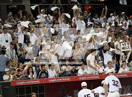 Thumbnail 1 in Pinnacle vs. Hamilton (AIA 6A Final) photogallery.