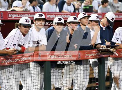 Thumbnail 3 in Pinnacle vs. Hamilton (AIA 6A Final) photogallery.