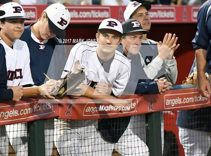 Thumbnail 1 in Pinnacle vs. Hamilton (AIA 6A Final) photogallery.