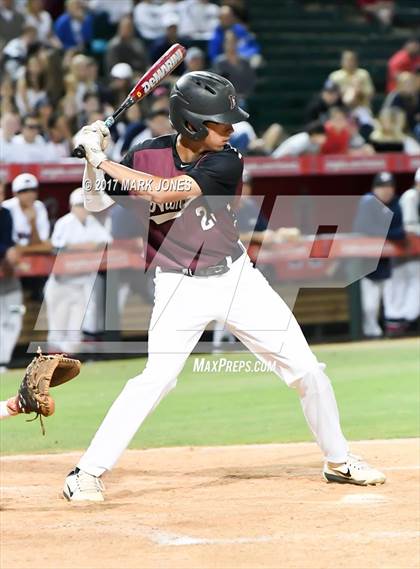 Thumbnail 3 in Pinnacle vs. Hamilton (AIA 6A Final) photogallery.