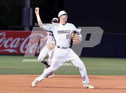 Thumbnail 1 in Pinnacle vs. Hamilton (AIA 6A Final) photogallery.