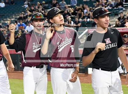 Thumbnail 2 in Pinnacle vs. Hamilton (AIA 6A Final) photogallery.