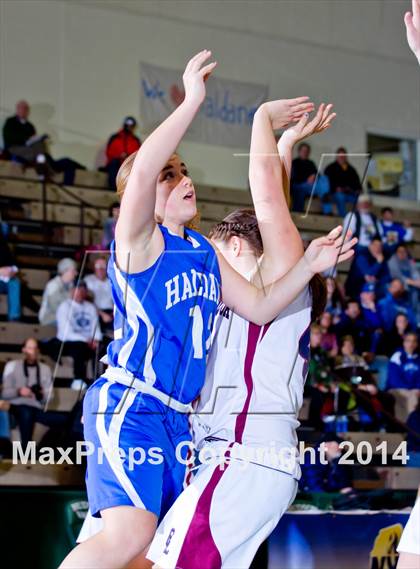 Thumbnail 2 in Haldane vs. Chautauqua Lake (NYSPHSAA Class C Semifinal) photogallery.