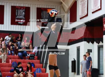 Thumbnail 1 in Trent @ Strawn photogallery.