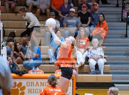 Thumbnail 3 in Kirbyville @ Orangefield photogallery.