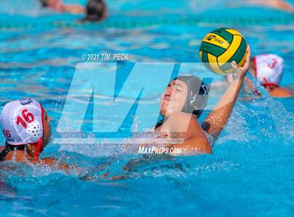 Thumbnail 3 in Fullerton @ Brea Olinda photogallery.