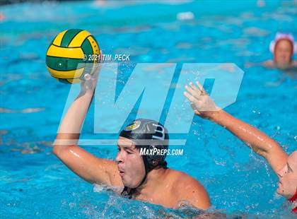 Thumbnail 2 in Fullerton @ Brea Olinda photogallery.