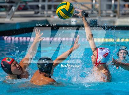 Thumbnail 2 in Fullerton @ Brea Olinda photogallery.