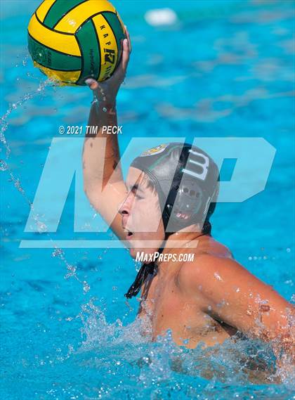 Thumbnail 2 in Fullerton @ Brea Olinda photogallery.