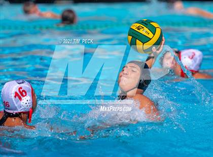 Thumbnail 1 in Fullerton @ Brea Olinda photogallery.