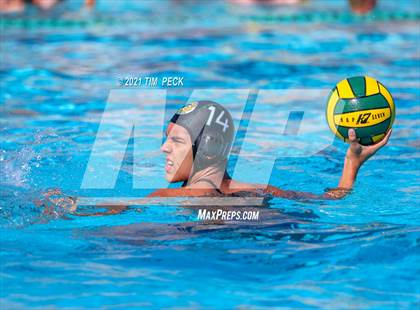 Thumbnail 1 in Fullerton @ Brea Olinda photogallery.