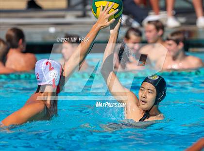 Thumbnail 1 in Fullerton @ Brea Olinda photogallery.