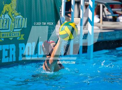 Thumbnail 1 in Fullerton @ Brea Olinda photogallery.