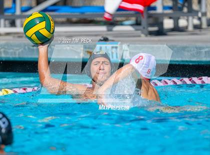 Thumbnail 3 in Fullerton @ Brea Olinda photogallery.