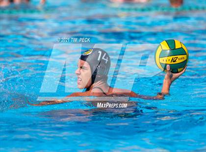Thumbnail 3 in Fullerton @ Brea Olinda photogallery.