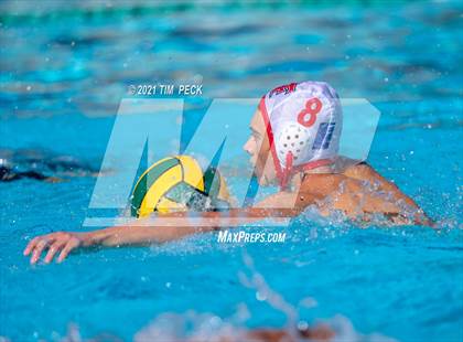 Thumbnail 1 in Fullerton @ Brea Olinda photogallery.