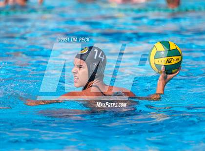 Thumbnail 2 in Fullerton @ Brea Olinda photogallery.