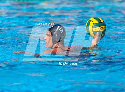 Thumbnail 3 in Fullerton @ Brea Olinda photogallery.