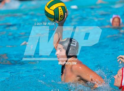 Thumbnail 2 in Fullerton @ Brea Olinda photogallery.