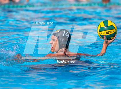 Thumbnail 2 in Fullerton @ Brea Olinda photogallery.