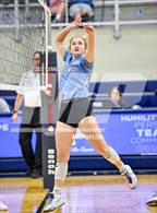 Photo from the gallery "Holmes @ Harlan"