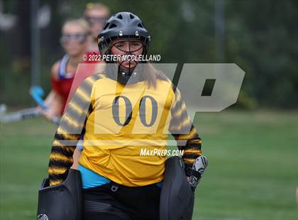 Thumbnail 3 in Lake Region @ Fryeburg photogallery.