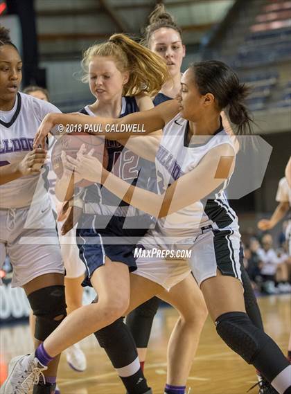 Thumbnail 1 in Mt. Spokane vs. Garfield (WIAA 3A 1st Round Playoff) photogallery.