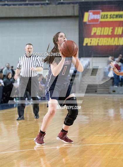 Thumbnail 1 in Mt. Spokane vs. Garfield (WIAA 3A 1st Round Playoff) photogallery.