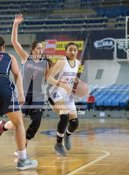 Thumbnail 1 in Mt. Spokane vs. Garfield (WIAA 3A 1st Round Playoff) photogallery.