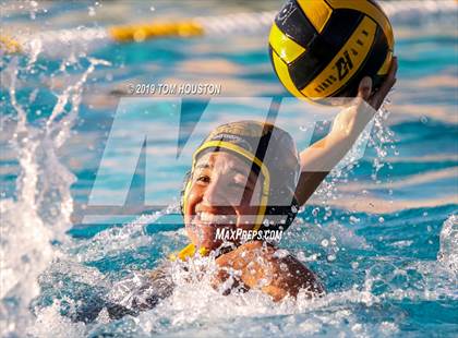Thumbnail 1 in Chino @ Don Lugo photogallery.