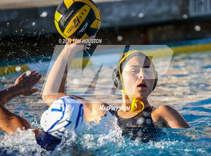 Thumbnail 1 in Chino @ Don Lugo photogallery.