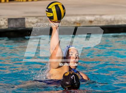 Thumbnail 1 in Chino @ Don Lugo photogallery.